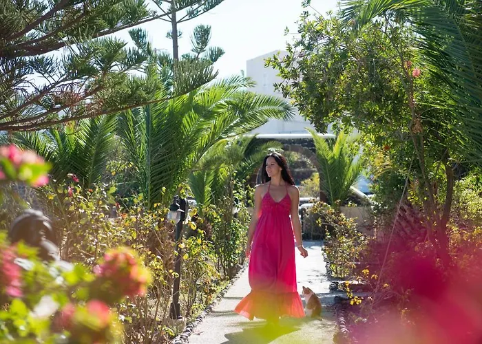 Aelia By Eltheon Imerovigli (Santorini)