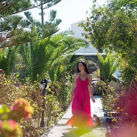 Aelia By Eltheon Imerovigli (Santorini)